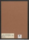 Plagiogramma lyratum Grev. (de-Toni-Nr.: Genus 83, Species 2925) Zeichnungen Sammlung Grunow Mappe 03095 (Herbarium_W_Grunow_drawings_Folder_03095)